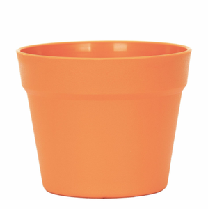 Conteneur de jardin de fleurs succulentes en terre cuite mate de haute qualité - Product Image 4