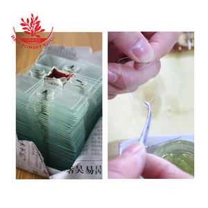 Vorbereitete Objektträger 12 Arten Hochschul bildung Objektträger für menschliche Histologie Arterien und Venen, TS Biological <span class=keywords><strong>Histology</strong></span> Slides - Product Image 5