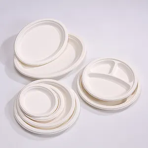 Бесплатные образцы, биоразлагаемые бумажные тарелки 6 7 8 9 10 12,5 дюймов с отделением для сахарного тростника, одноразовая тарелка для дня рождения