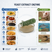 Poudre Composée d'Enzymes d'Extrait de Levure en Promotion 5000U/G pour Additifs Alimentaires – Approvisionnement Direct Usine