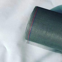 Groothandel Modern Design Doorzichtig Glasvezel Scherm Gaas Met Insectengaas Nylon Ramen Gaas