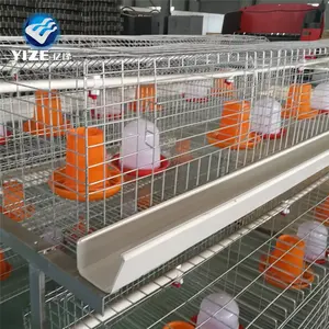 Equipo de cría de aves y animales de jaula para pollitos a la venta en Sri Lanka