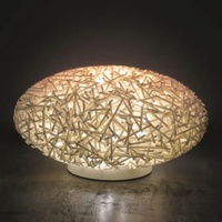 Luces Indicadoras LED Impresas en 3D Personalizadas, con Formas de Animales y Frutas, Estructuras Complejas, Iluminación Arquitectónica Colorida
