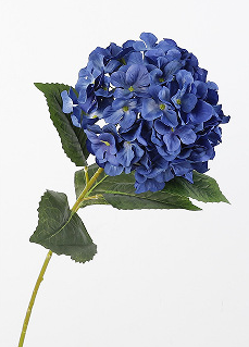 สีน้ำเงินเข้ม