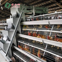 U-Best Nouvelles cages automatiques de type H pour poules pondeuses en acier galvanisé à chaud pour élevages avicoles