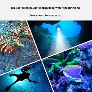 Mới 500W Đèn Chụp Ảnh 80M Đèn Pin Lặn Đèn Đỏ Và Đèn Xanh Công Suất Cao Dưới Nước 300-500M IP68 USB Sạc - Product Image 5