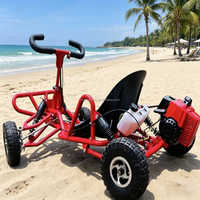 Nuevo Kart a Pedales con Motor de Gasolina de 80cc y Dos Tiempos, Todoterreno, UTV, para Carreras al Aire Libre, Derrapes en la Playa, Velocidad Máxima de 35 km/h