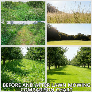 Tondeuse à gazon autotractée à essence de qualité industrielle avec télécommande, souffleuse à neige 2 en 1, châssis en acier, coupe réglable - Product Image 4