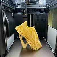 Chaussures personnalisées en TPU haute résistance imprimées en 3D |   Prototype résistant à l'usure et moule CNC pour les fabricants de chaussures