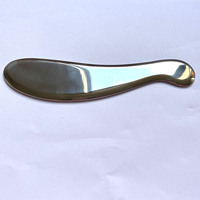 IASTM Outils de haute qualité Masseur de massage Grattoir Ensemble en acier inoxydable Planche Grattage Corps de mise au rebut Masseur gua sha personnalisé