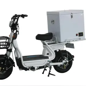 50L Mini ice delivery box freezer refrigerated box for Refrigerated Motorcycle