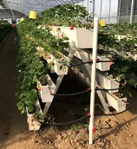 One-one Strawberry hidropônico crescente sistemas vertical plantio Cultivo Plastic Gutter estufa para venda