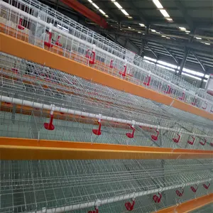 40 Years Lifetime Egg Hen Chicken Cage Layer Poultry Farm