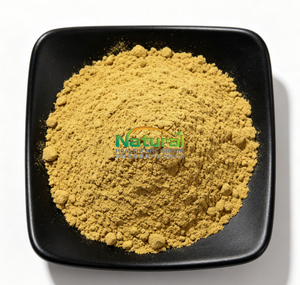 Extrait naturel de feuille d'<span class=keywords><strong>ortie</strong></span>, <span class=keywords><strong>silice</strong></span> 2%, poudre fine brun-jaune clair, qualité alimentaire, extrait végétal - Product Image 1