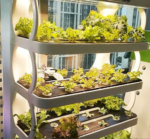 Petit jardin hydroponique LED pour la maison, système de culture de plantes d'intérieur avec pompe et contrôle PLC - Product Image 5