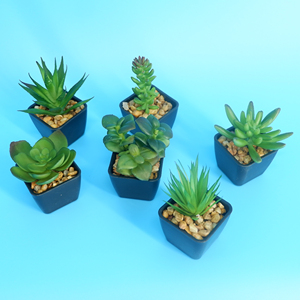 DIY creativo Micro paisaje Artificial Mini suculentas negro PP maceta miniatura planta suculenta - Product Image 3