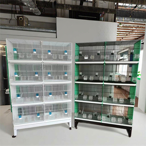 आधुनिक छोटी नस्लों पक्षी ट्रे स्क्वायर प्लास्टिक पैलेट बटन बंद करने के साथ 10 किलोग्राम क्षमता सभी मौसमों - Product Image 5