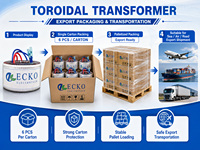 Transformateur toroïdal personnalisé de haute qualité 10000va, transformateur toroïdal 3000w pour amplificateur de puissance