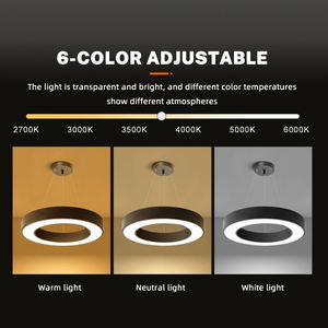 Magazzino UE Lampadario Circolare a LED ad Alta Luminosità per Palestra Ufficio e Illuminazione Commerciale Lampada a Sospensione Rotonda a LED - Product Image 2