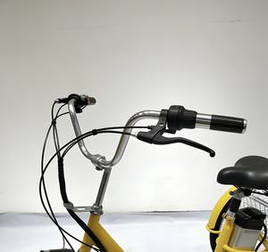 Vélo électrique de 20 pouces avec moteur sans balais de 250 W, batterie 48 V 12 Ah, capacité de charge de 100 kg - Product Image 3