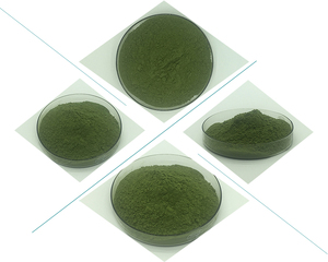Grosir penjualan terbaik ekstrak kelor alami bubuk daun kelor kering murni - Product Image 6