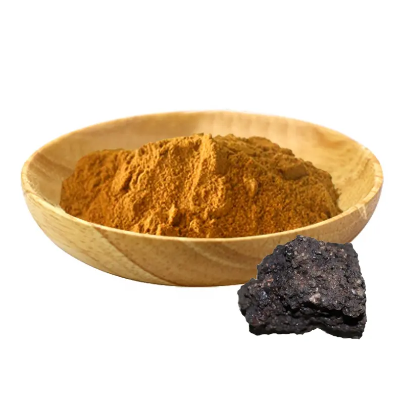 AMULYN Pure Natural Shilajit Extract Fulvic Acid Powder/Shilajit Capsules