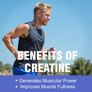 OEM ODM <b>Creatine</b> Monohydrate Power Improve Strength Powder High Intensity Exercuse Performance Muscle Strength Recovery - Product Image 6