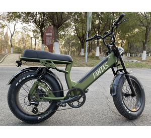 <span class=keywords><strong>Domino</strong></span>-bicicleta eléctrica con ruedas anchas <span class=keywords><strong>de</strong></span> 20 pulgadas, bicicleta eléctrica para nieve y playa, batería oculta, novedad <span class=keywords><strong>de</strong></span> 2022 - Product Image 1