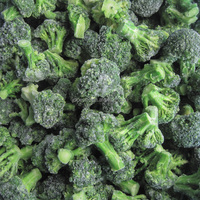 IQF fiori di Broccoli congelati all'ingrosso di qualità Premium verdure surgelate origine cina