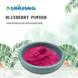 Factory Supply Freeze-dried Blueberry Fruit Juice Powder