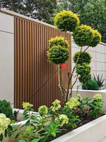 Panneau mural WPC anti-eau pour façade extérieure, co-extrusion économique et performante, prix abordable
