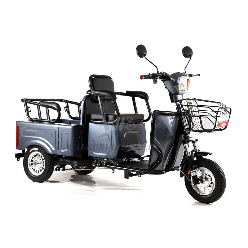 Produsen asli Tiongkok sepeda roda tiga elektrik 3 roda tiga penggunaan rumah becak perjalanan pendek kargo orang penyandang cacat