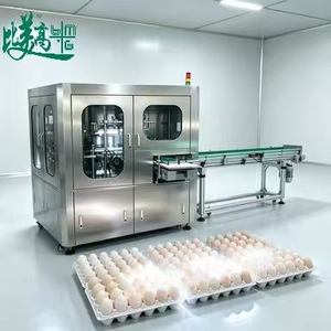 360 °   Machine de Scannage Intégral des Œufs avec Détection des Défauts de Coquille et Inspection des Étiquettes pour les Lignes d'Emballage des Œufs - Product Image 1
