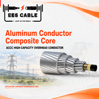 Conducteur aérien nu à noyau composite en aluminium (ACCC) haute capacité pour lignes de transmission et de distribution d'énergie