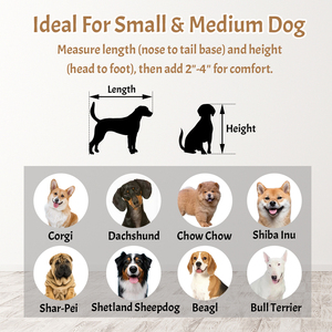 Sıcak satış Modern anti-çiğnemek Metal köpek sandık açık üst katı desen demir büyük köpek kafesi kulübesi çıkarılabilir plastik tepsi ile - Product Image 6