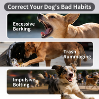 Kalung Pelatihan Anjing Tanpa Sengatan 1 Transmitter 2 Receiver Tipe Getar dan Bunyi Type-C Tahan Air IPX7 Ramah Lingkungan