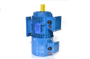 Moteur à induction triphasé 220V 2800 tr/min avec pompe hydraulique - Product Image 4