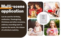 Puce de module de son enregistrable programmable avec Mini puce sonore Usb Module de son à bouton-poussoir Mp3 pour peluche