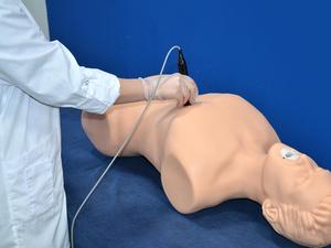 MEDVISION SONOVision Simulador de Entrenamiento con Modelo Anatómico de <span class=keywords><strong>Ciencia</strong></span> Médica de Silicona - Product Image 1
