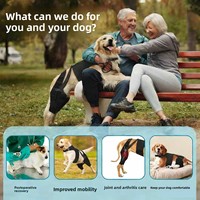 Attelle intégrée écologique en polyester antidérapante pour pattes arrière de chien, stabilisateur de genou post-chirurgical, soutien pour déchirure de la LCA et blessure de l'articulation de la hanche