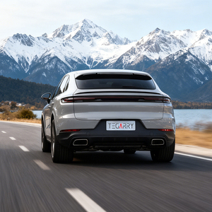 ชุดแต่งรอบคัน TEGARRY รุ่น <span class=keywords><strong>GTS</strong></span> วัสดุ PP คุณภาพสูง พร้อมคลิปยึดท่อไอเสียแบบติดตั้งเอง สำหรับ <span class=keywords><strong>Cayenne</strong></span> 958.1 ปี <span class=keywords><strong>2011</strong></span>-2014 - Product Image 5