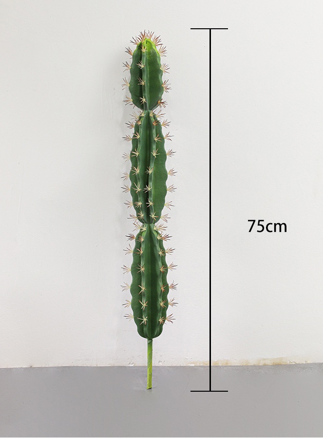 75 cm