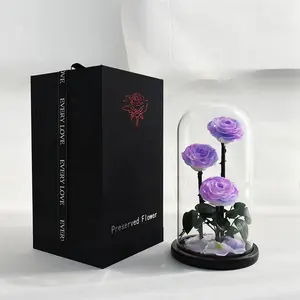 INSトップセラーImmortalInfinity Preserved Roses Flower Eternal Forever Preserved Flowers in Glass for gift