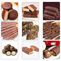 Petite Machine Automatique d'Enrobage Chocolat et Gâteaux avec Tunnel de Refroidissement pour Trempage et Glaçage