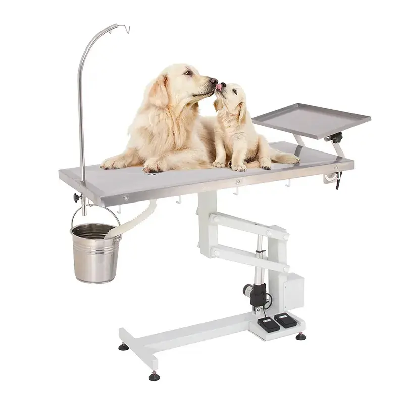 Elektrik cerrahi masa veteriner Pet sınav ameliyat masası veteriner ameliyat masası