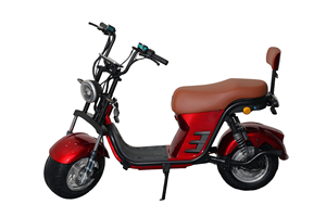 Scooter Eléctrico Personalizado OEM para Adultos, Batería de Plomo-Ácido de 48V, Neumático de Acero de 14 Pulgadas, Motor en el Buje Trasero, Autonomía Superior a 60 km - Product Image 2