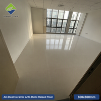 Plancher surélevé en céramique entièrement en acier avec piedestal réglable, panneau ESD 600x600x40mm pour centre de données SENMAI
