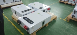 Batterie au phosphate de fer et de lithium LFP 12V 24V 100Ah 200Ah à bon prix pour le camping solaire, la voiture, le bateau, la pêche à la traîne - Product Image 6