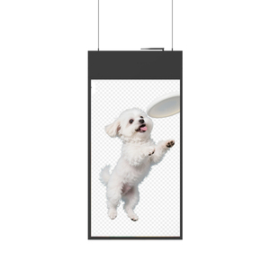 Écran d'affichage publicitaire double face suspendu pour intérieur 43 pouces, écran LCD de fenêtre/plafond, affiche numérique, kiosque RCL-430 - Product Image 5