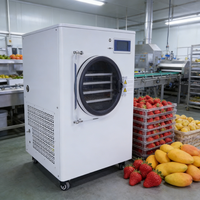 Lyofilisator Vacuüm Lab Vacuüm Fruitdroger Met Olievrije Pomp Multifunctionele Voedsel- en Huishoudelijke Vriesdroogmachine voor Groothandel